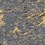 picture thumbnail