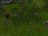img005.jpeg.small.jpeg